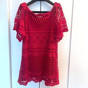 Red Embroidered eyelet mini Dress